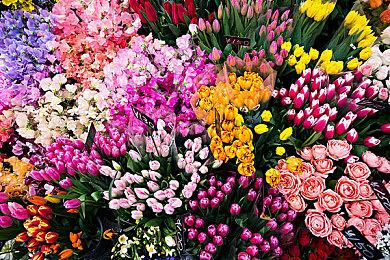 Xbox Series S在印度半年内再次涨价 售价是美国的两倍