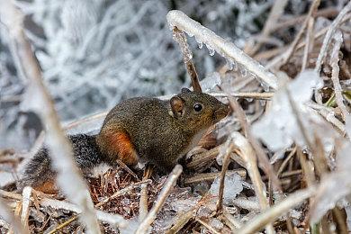 英国实体周榜：《暗黑4》跌至第三《塞尔达》重登榜首